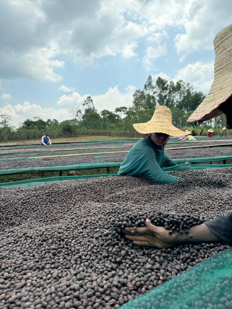 ABDURAHMAN ABABULGU Natural Ethiopia