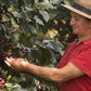 MARTHA LÍCIDA VÁSQUEZ MELGAR Washed Honduras